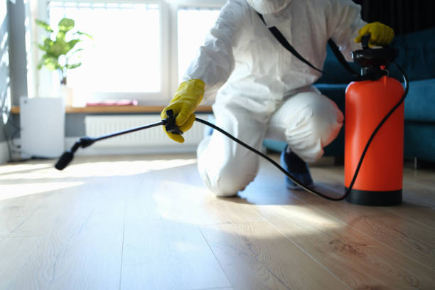 Reliable Odor Removal contractor in Colleyville, TX by Trauma Clean Pros